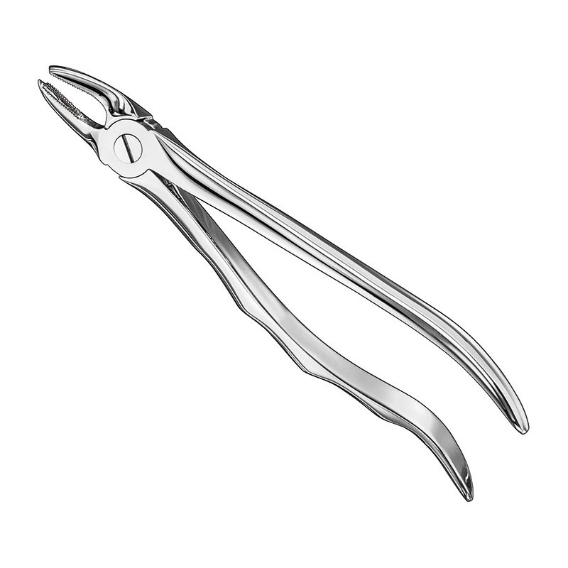 Extracting forceps, anat.