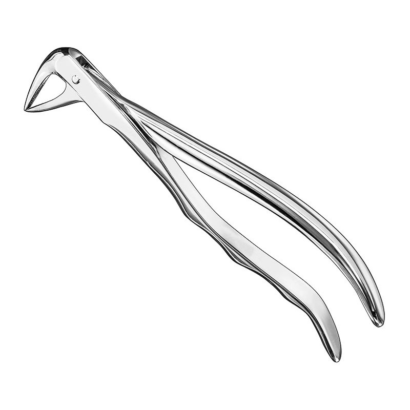 Extracting forceps, anat.